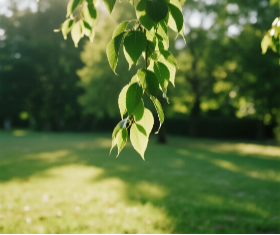 A Quick Look at PEF and Hospitality Sustainability