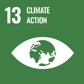 SDG13
